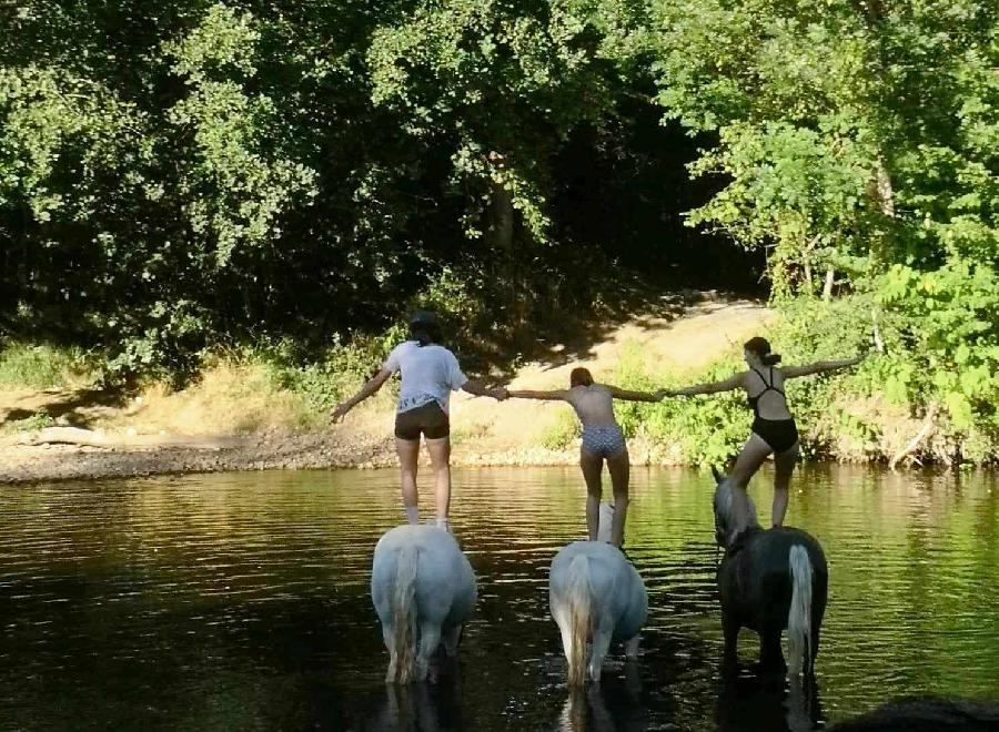 rando Balade  cheval Puy-de-dme