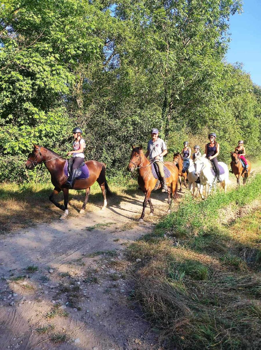 sejour Puy-de-dme PNR du Livradois Forez photo 2