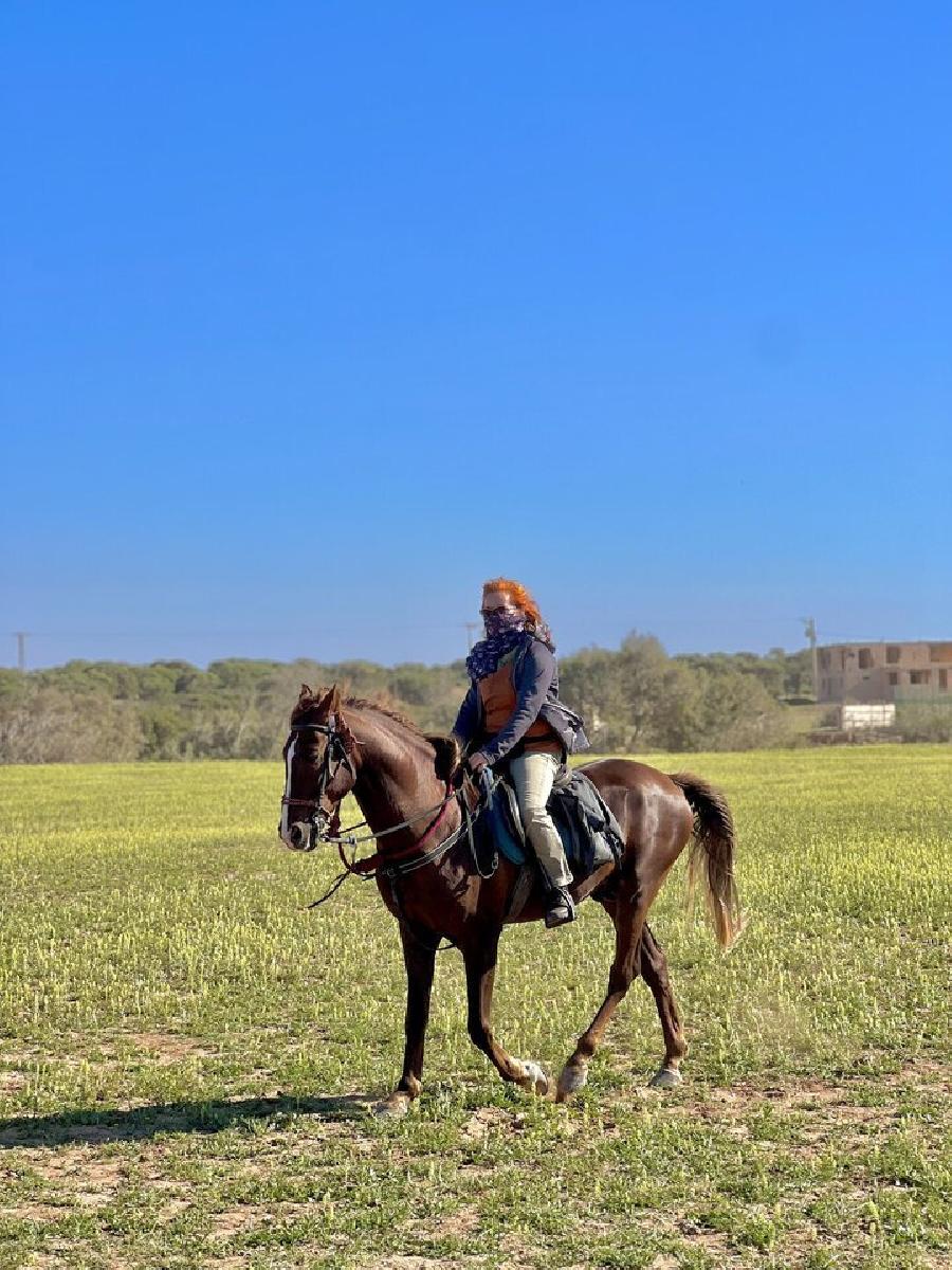 Voyage  cheval MAROC  photo 3