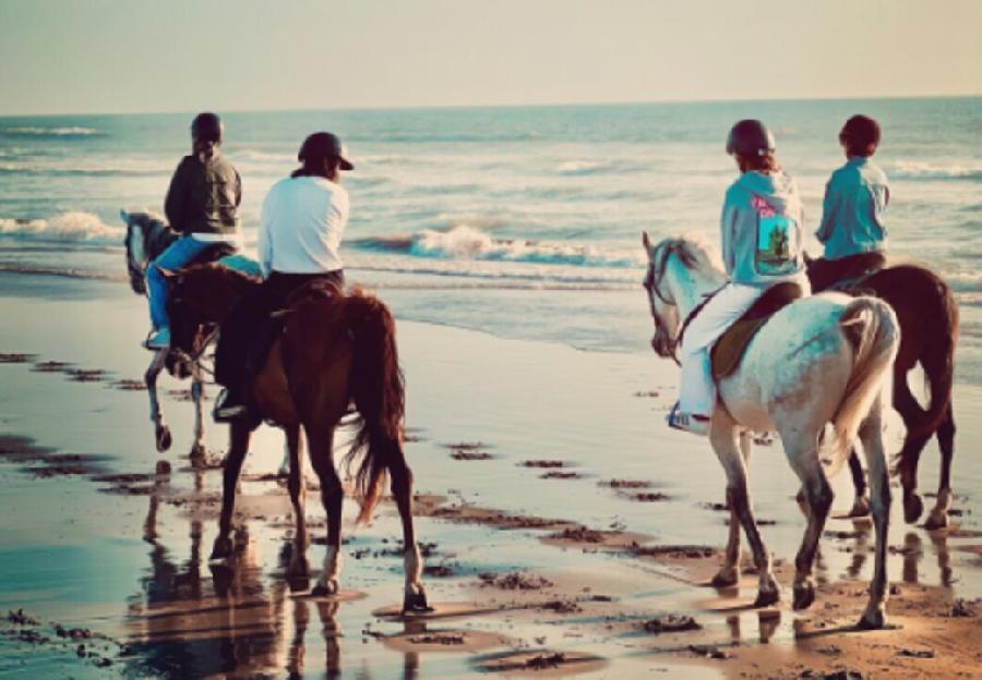 Voyage à cheval MAROC
