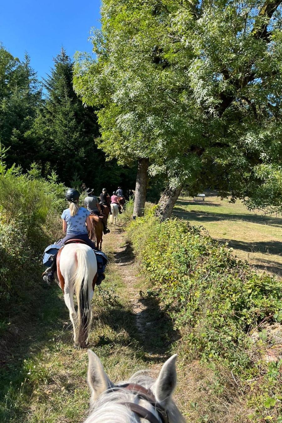 sejour Cte-dOr PNR du Morvan photo 5