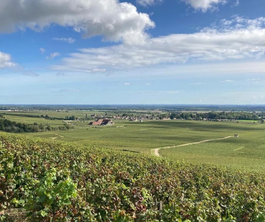 rando Randonne sportive Cte-dOr