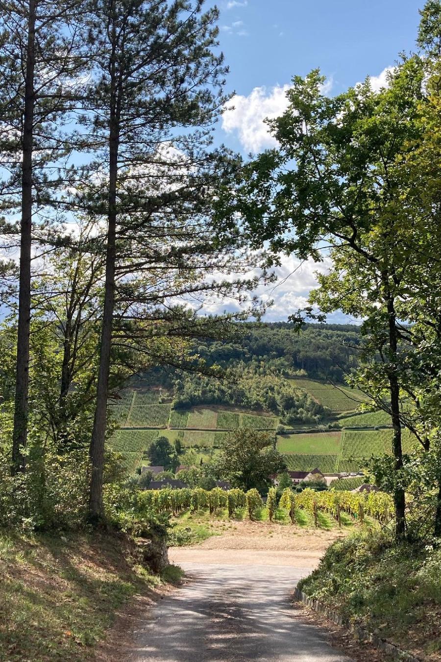 sejour Cte-dOr Bourgogne photo 3