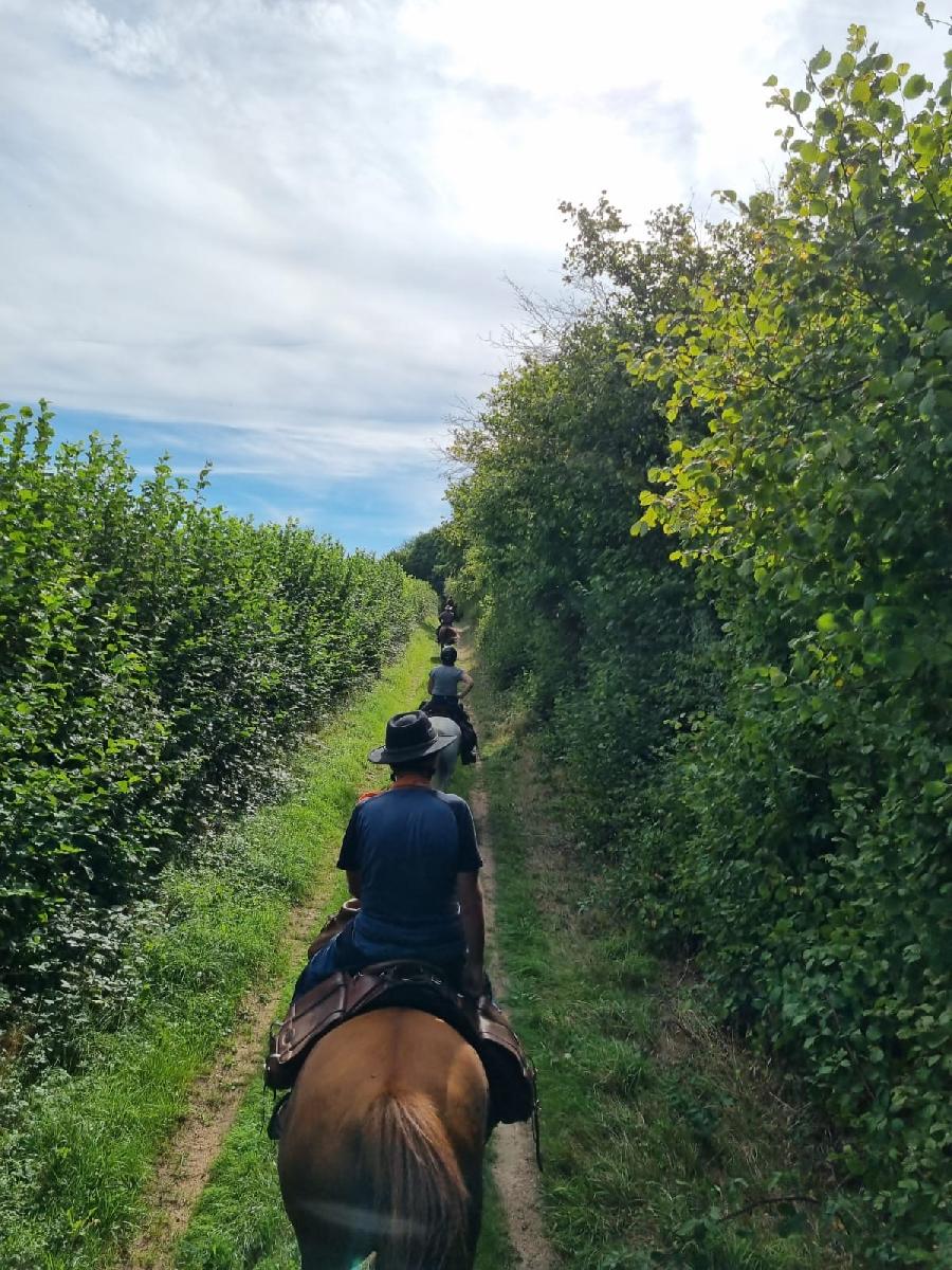 Voyage  cheval Cte-dOr PNR du Morvan photo 2