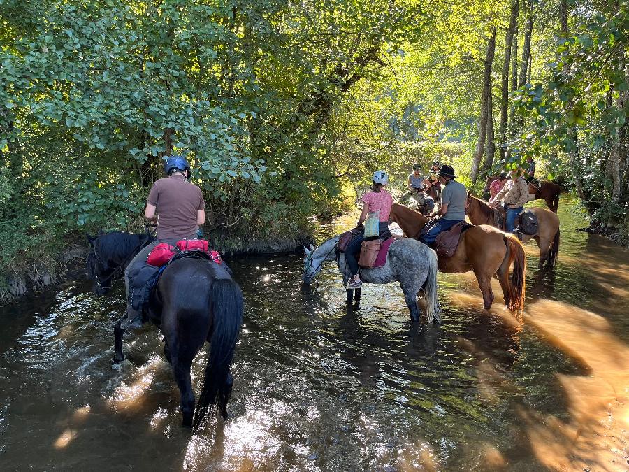 Voyage  cheval Cte-dOr PNR du Morvan photo 3