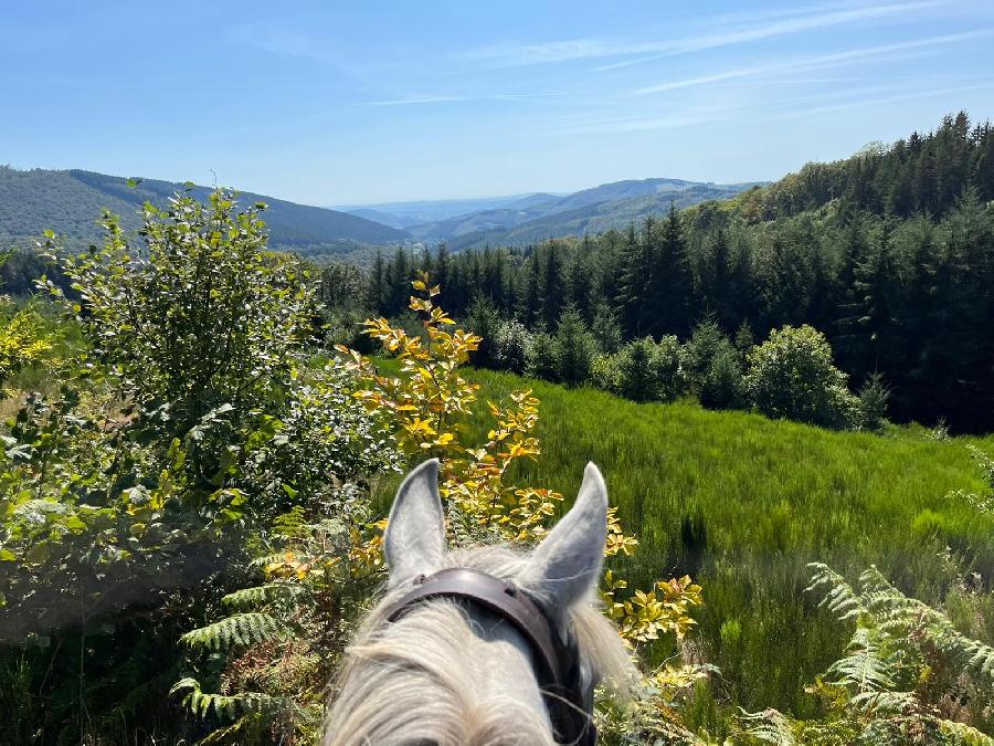 Voyage  cheval Cte-dOr PNR du Morvan photo 4
