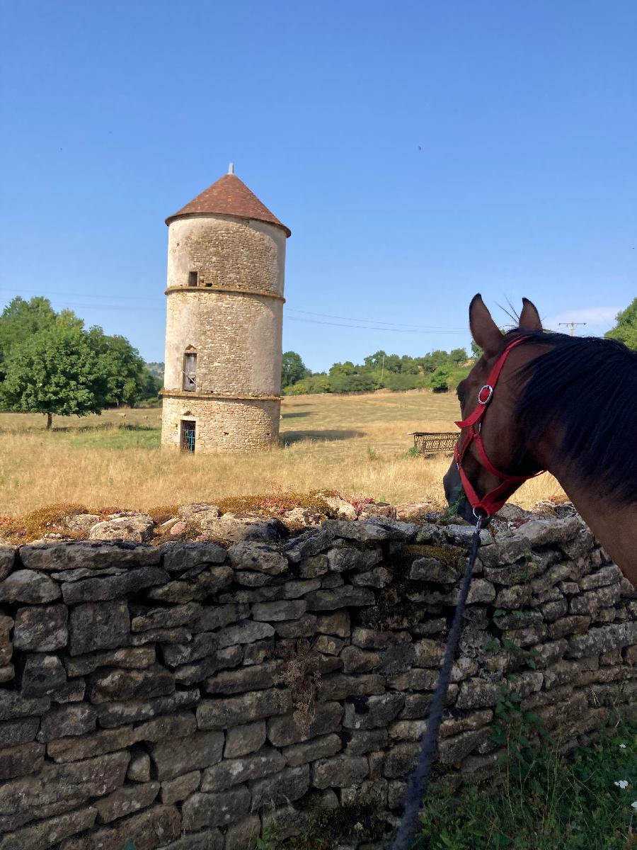 Voyage  cheval Cte-dOr PNR du Morvan photo 5
