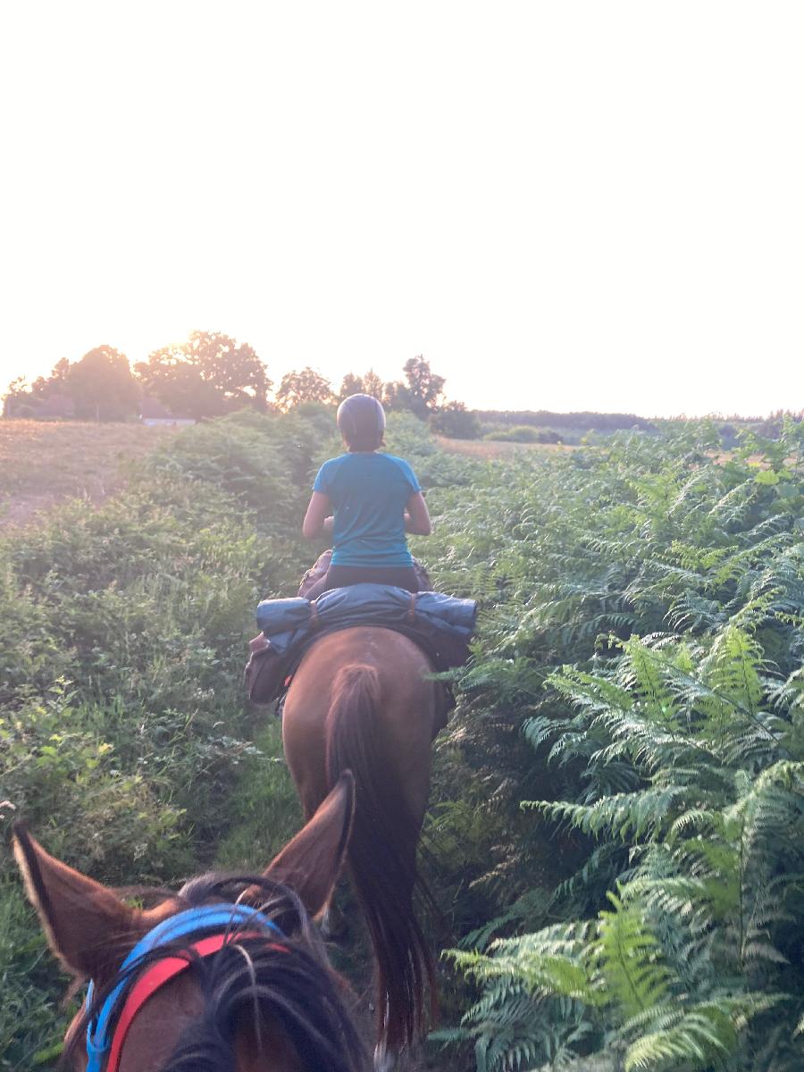 Voyage  cheval Cte-dOr PNR du Morvan photo 6