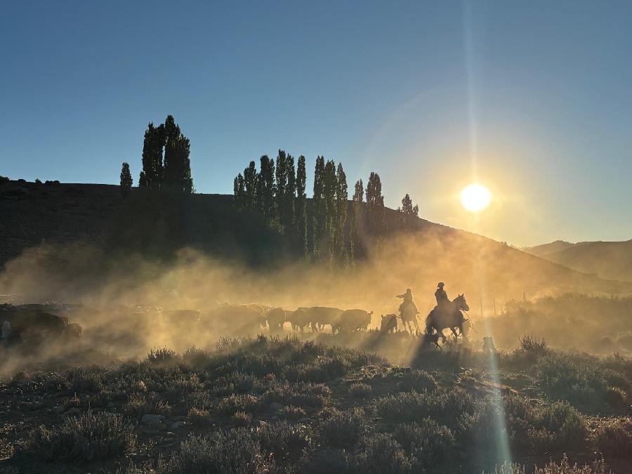 Voyage � cheval ARGENTINE Patagonie photo 2