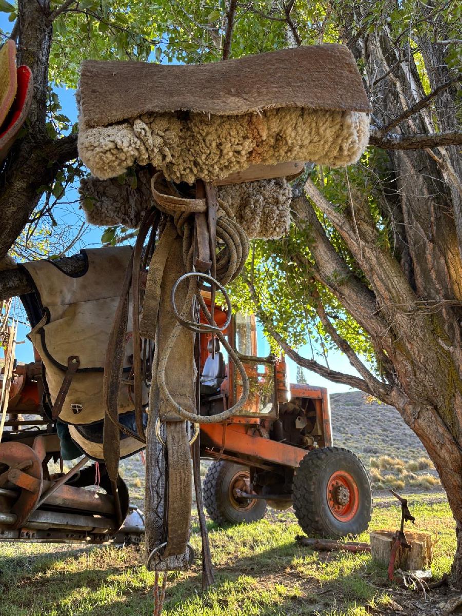 Voyage � cheval ARGENTINE Patagonie photo 4