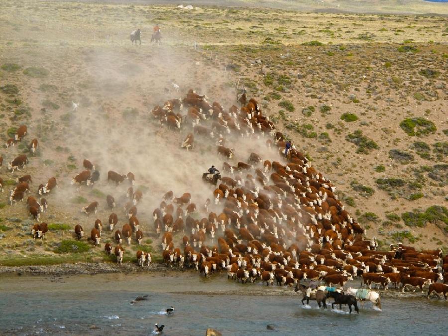 Voyage  cheval ARGENTINE Patagonie photo 5