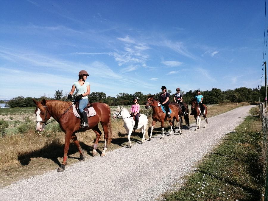 rando Balade  cheval Drme