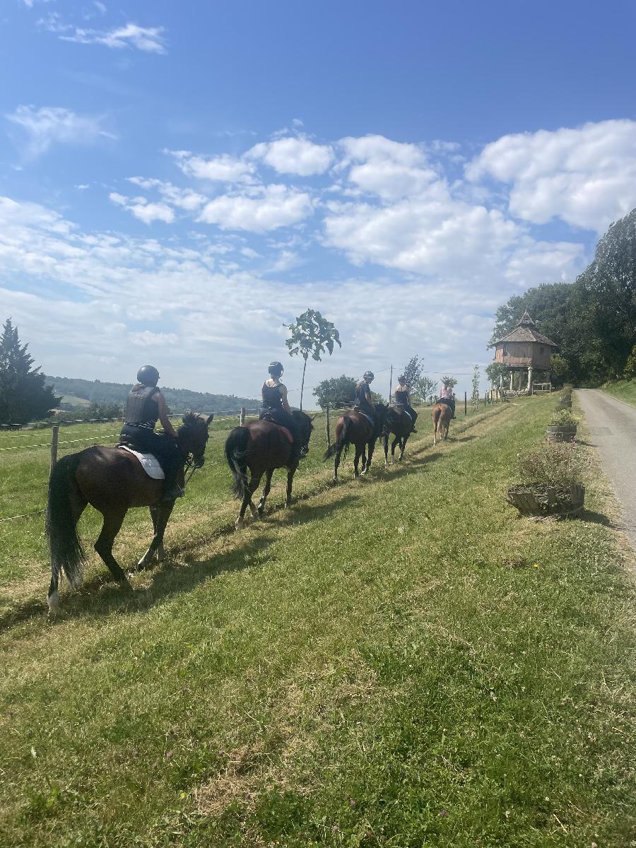 Randonne questre   photo 3