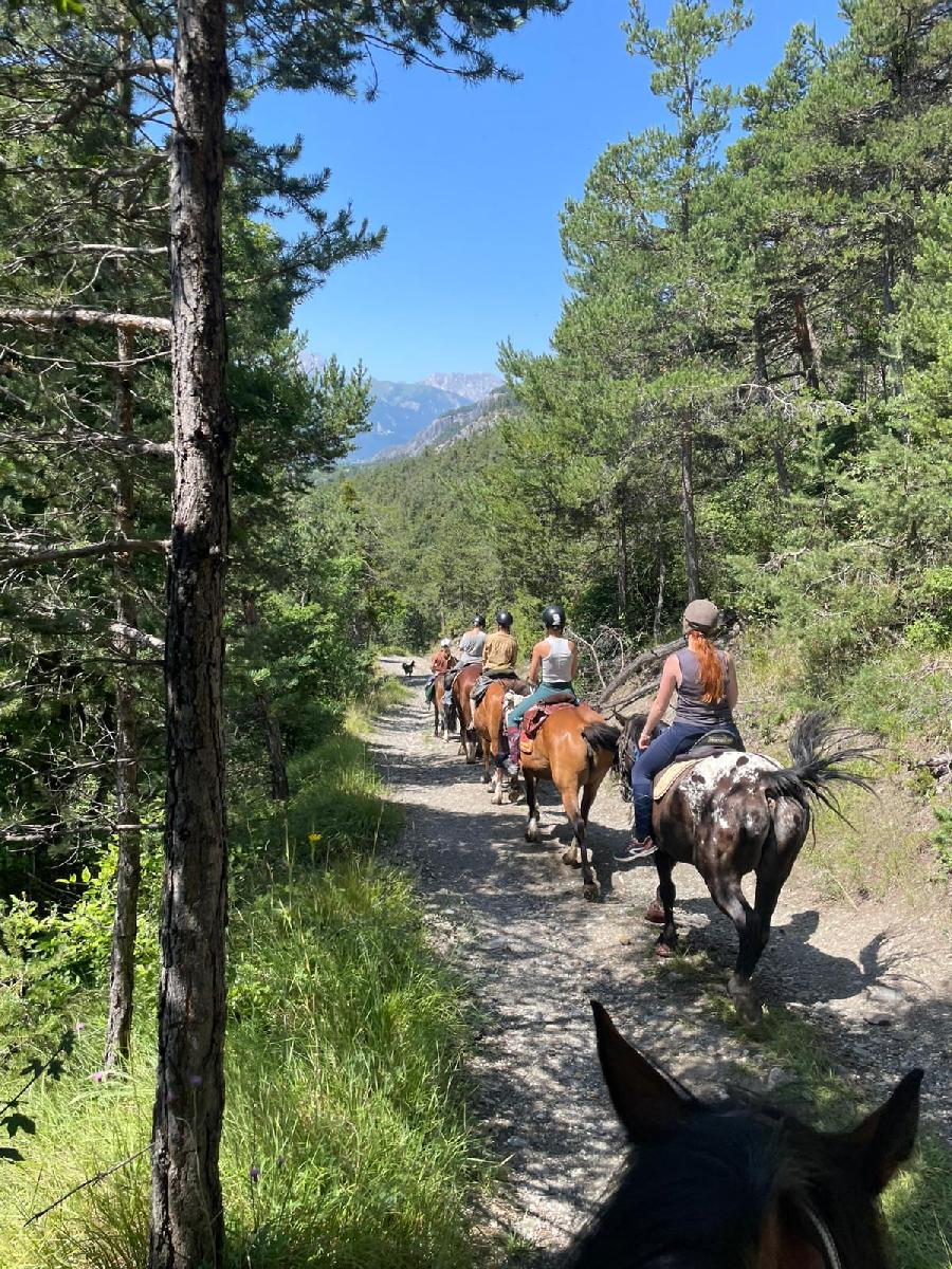 S�jour �questre   photo 6