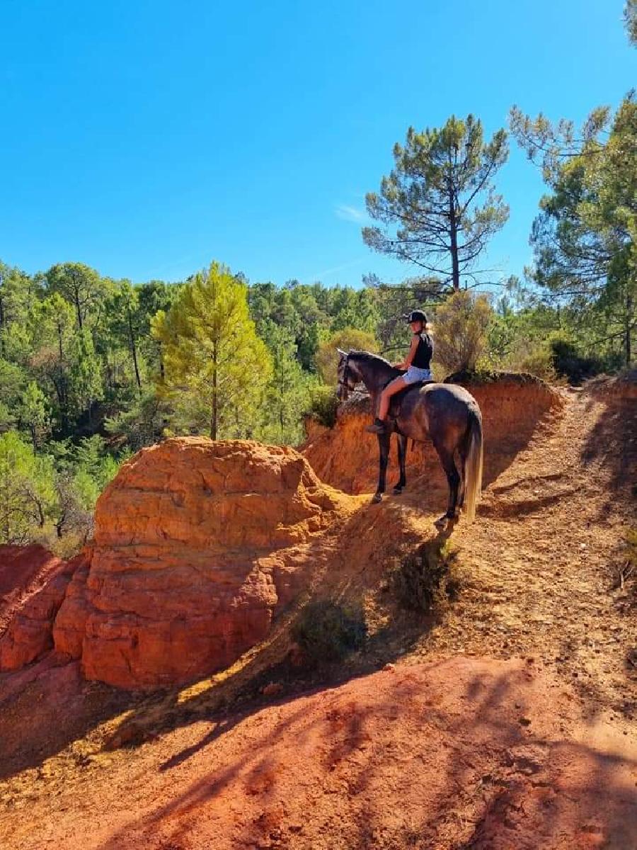 rando Randonne questre Vaucluse