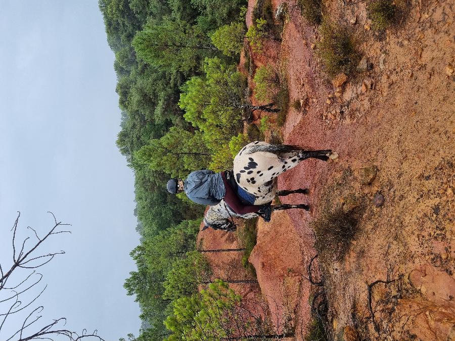 Randonne questre   photo 2