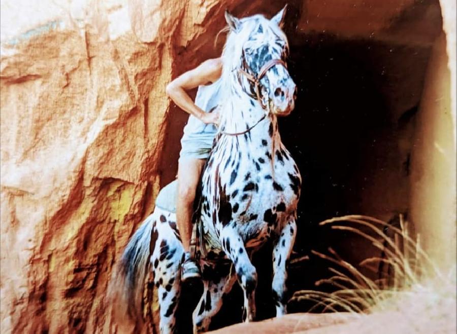 Randonne questre   photo 5