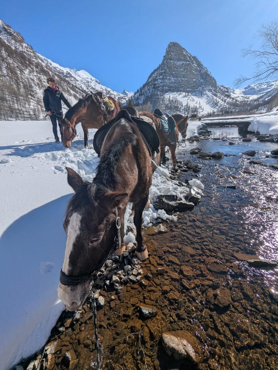 Sjour questre   photo 2