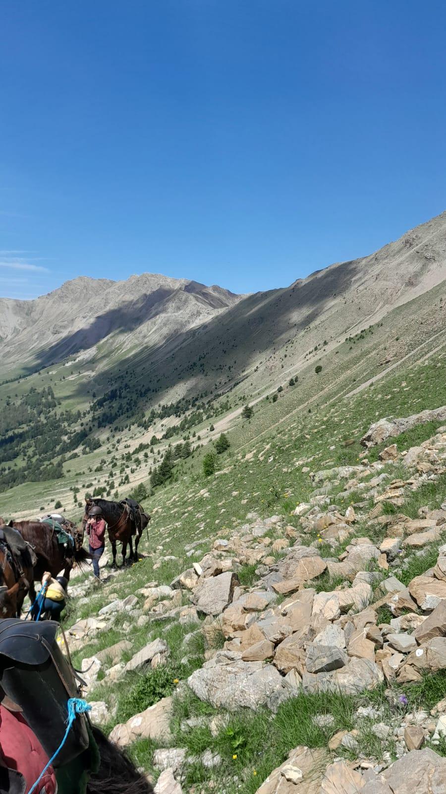 S�jour �questre   photo 2