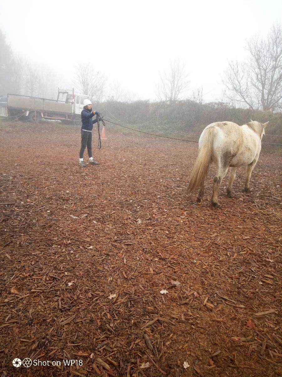 Stage quitation   photo 2