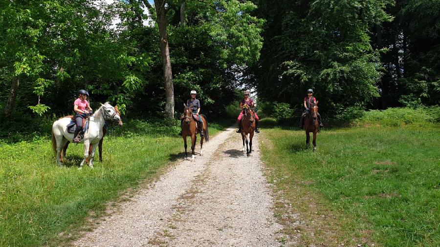 sejour Seine-Maritime For�t d'Eawy