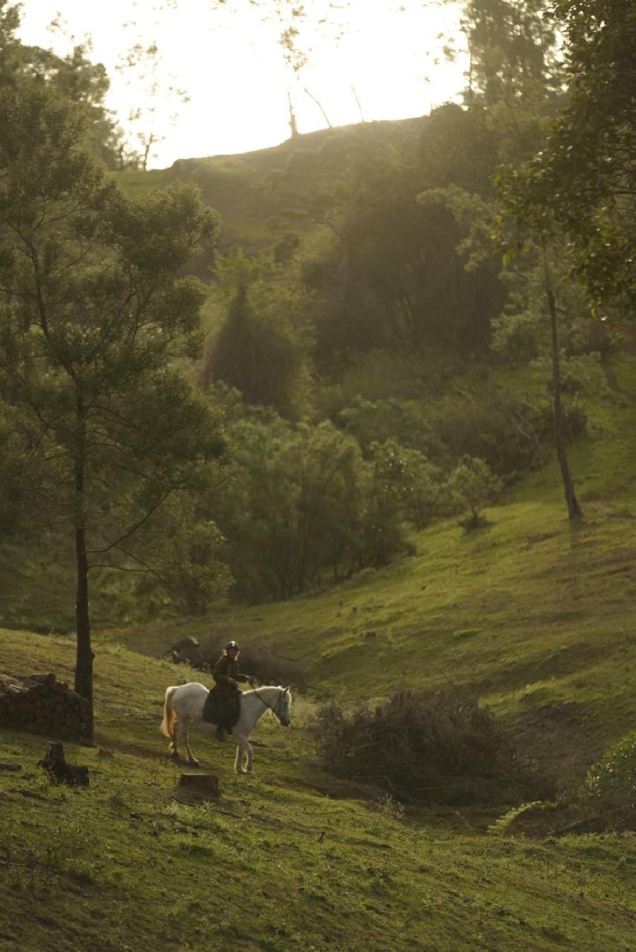 Voyage  cheval LA RUNION  photo 2
