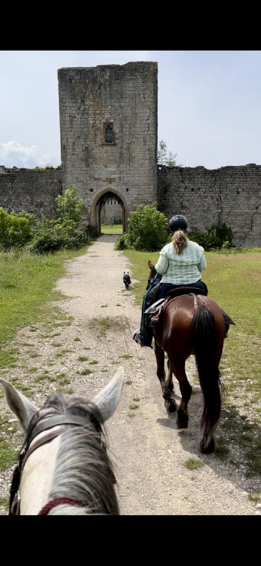 S�jour �questre   photo 2