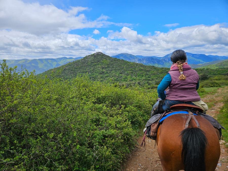 sejour Aude Pays Cathare photo 6