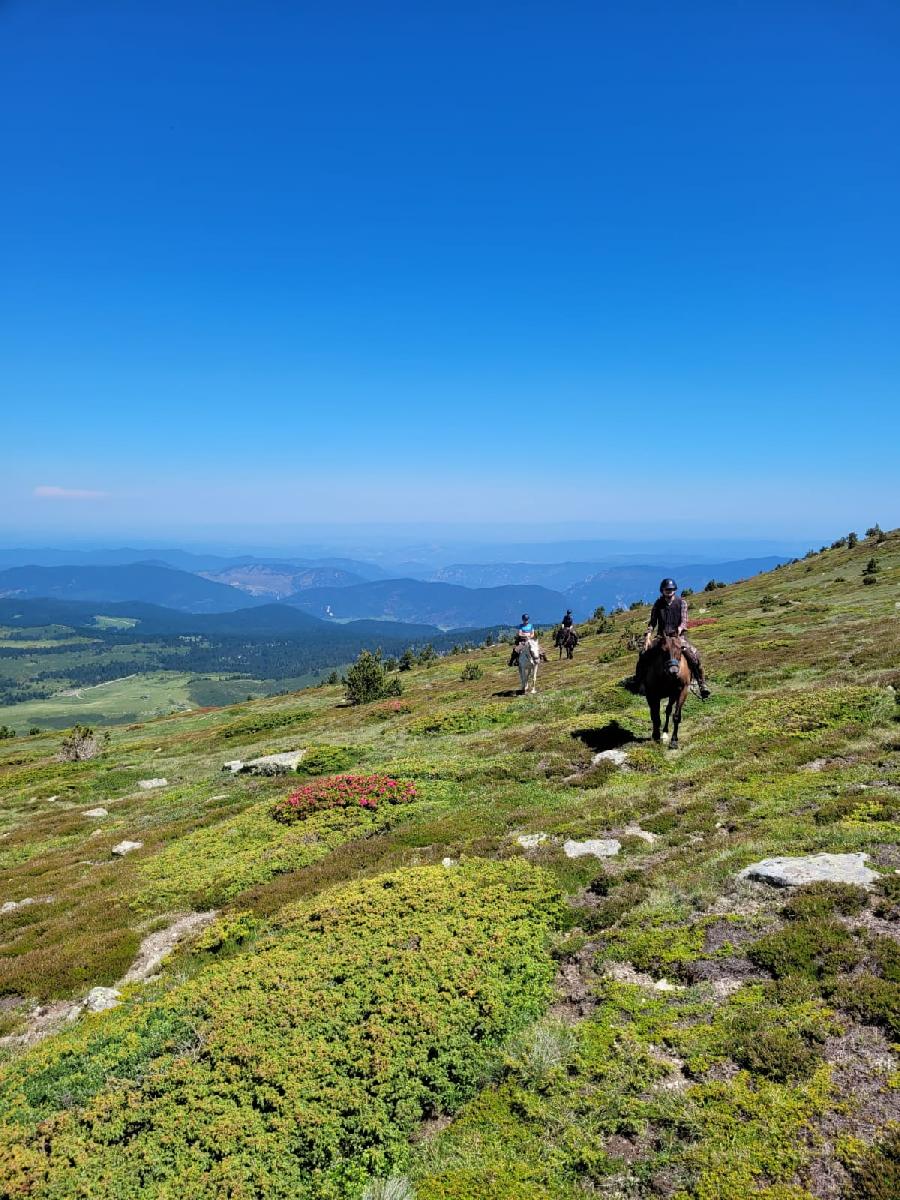 S�jour �questre   photo 2