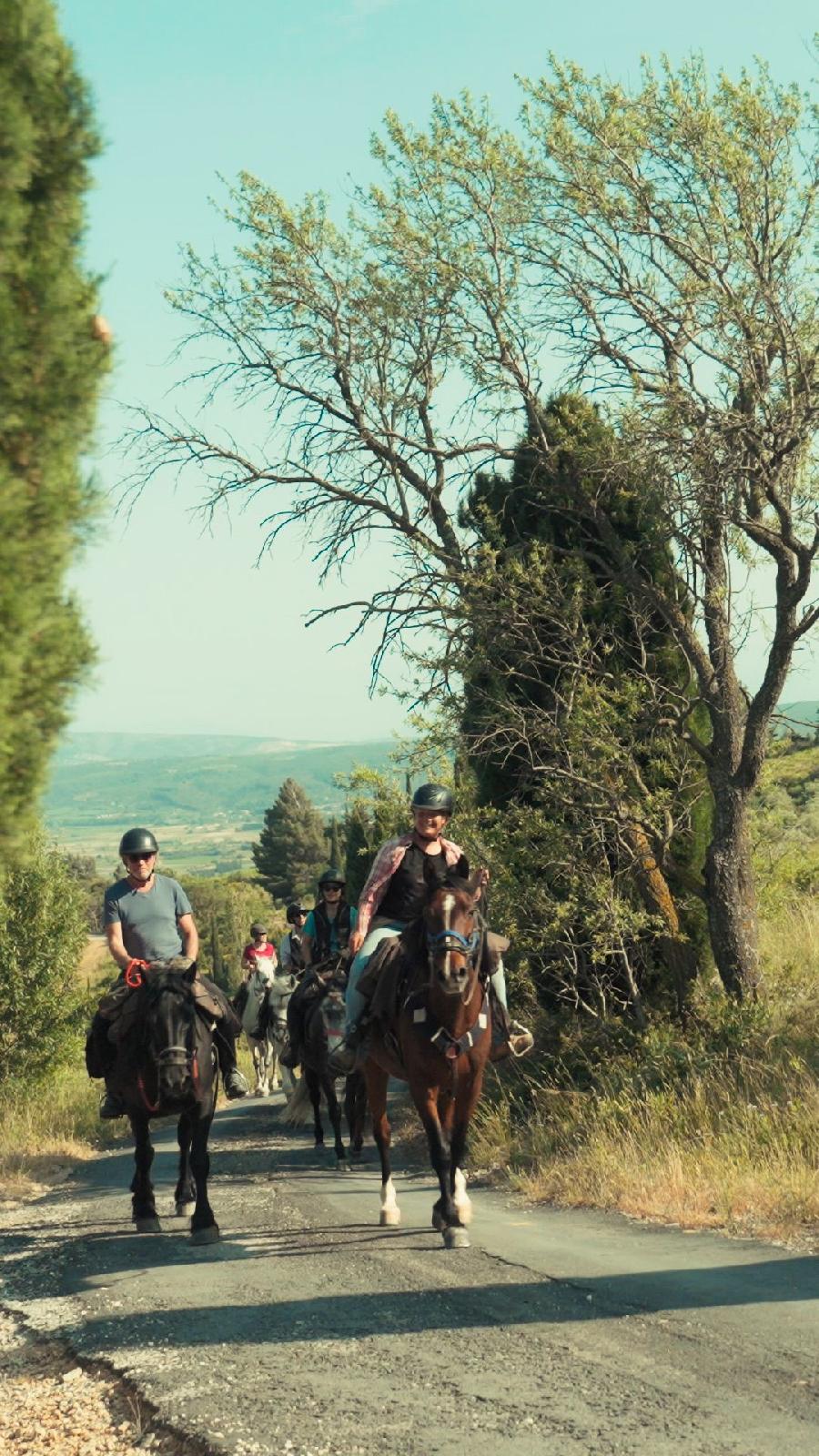 sejour Aude Pays Cathare photo 2