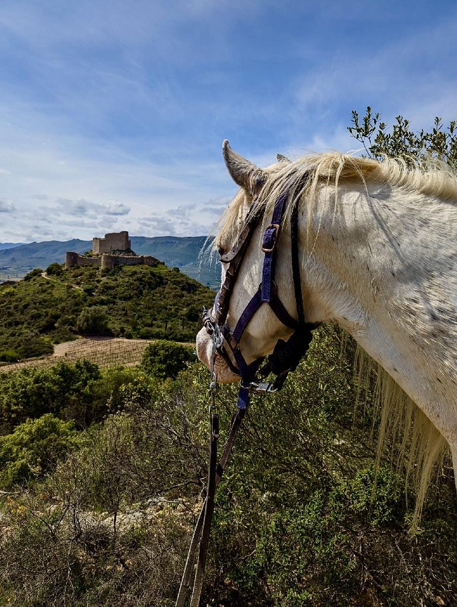 sejour Aude Pays Cathare photo 4