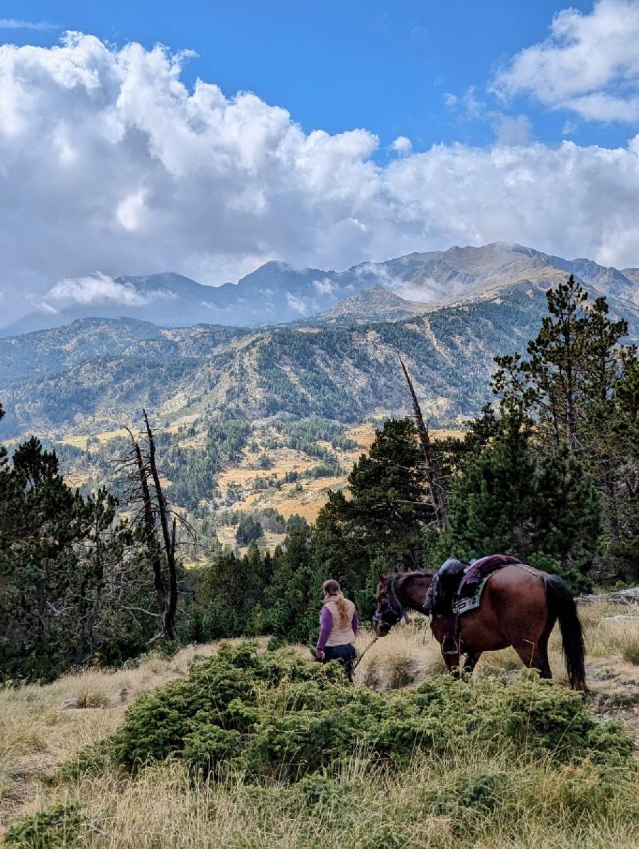 S�jour �questre   photo 2