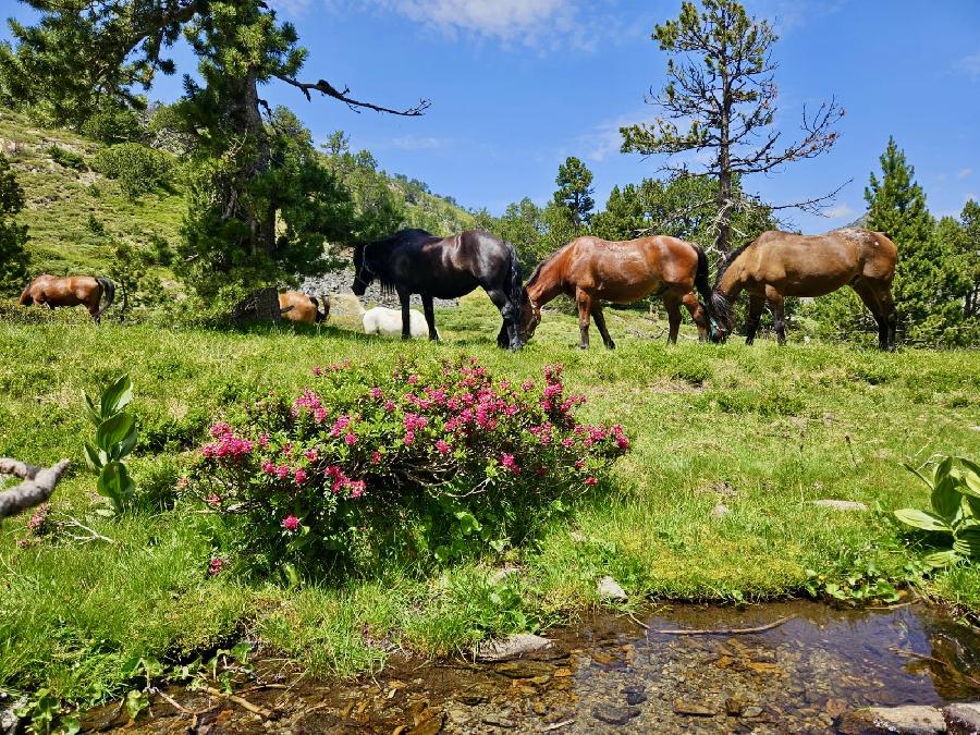 S�jour �questre   photo 3