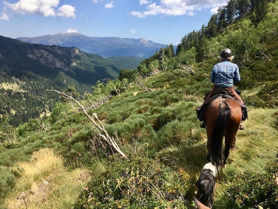 S�jour �questre   photo 4