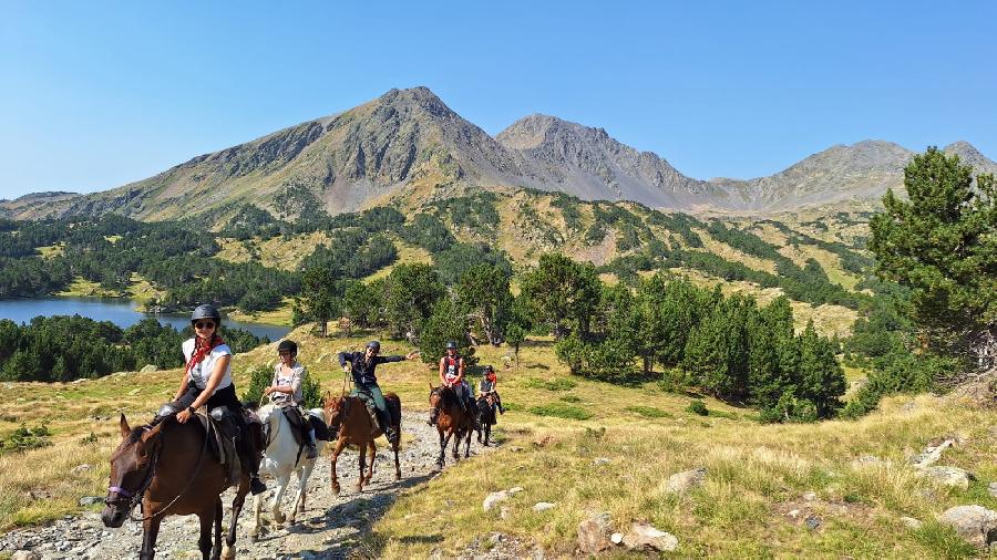 S�jour �questre   photo 6