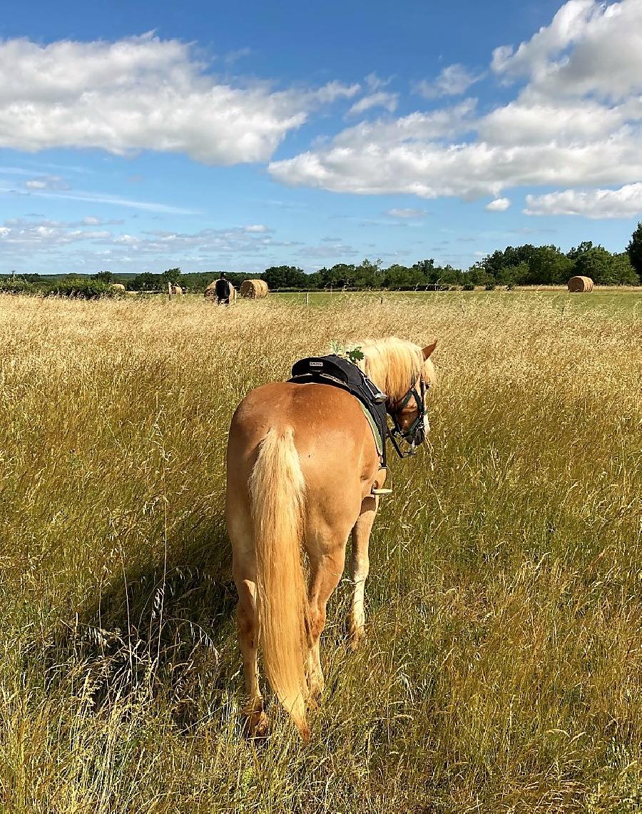 sejour Tarn-et-Garonne Quercy photo 2