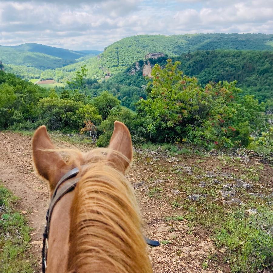 S�jour �questre   photo 5