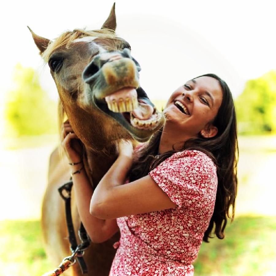 S�jour �questre   photo 3