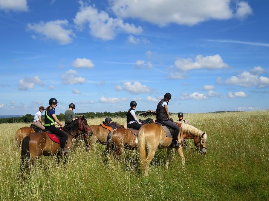 S�jour �questre   photo 3