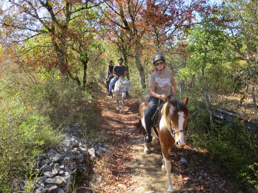 S�jour �questre   photo 5