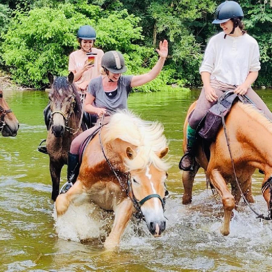 S�jour �questre   photo 2