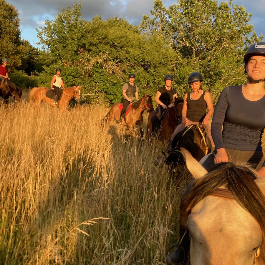 S�jour �questre   photo 3