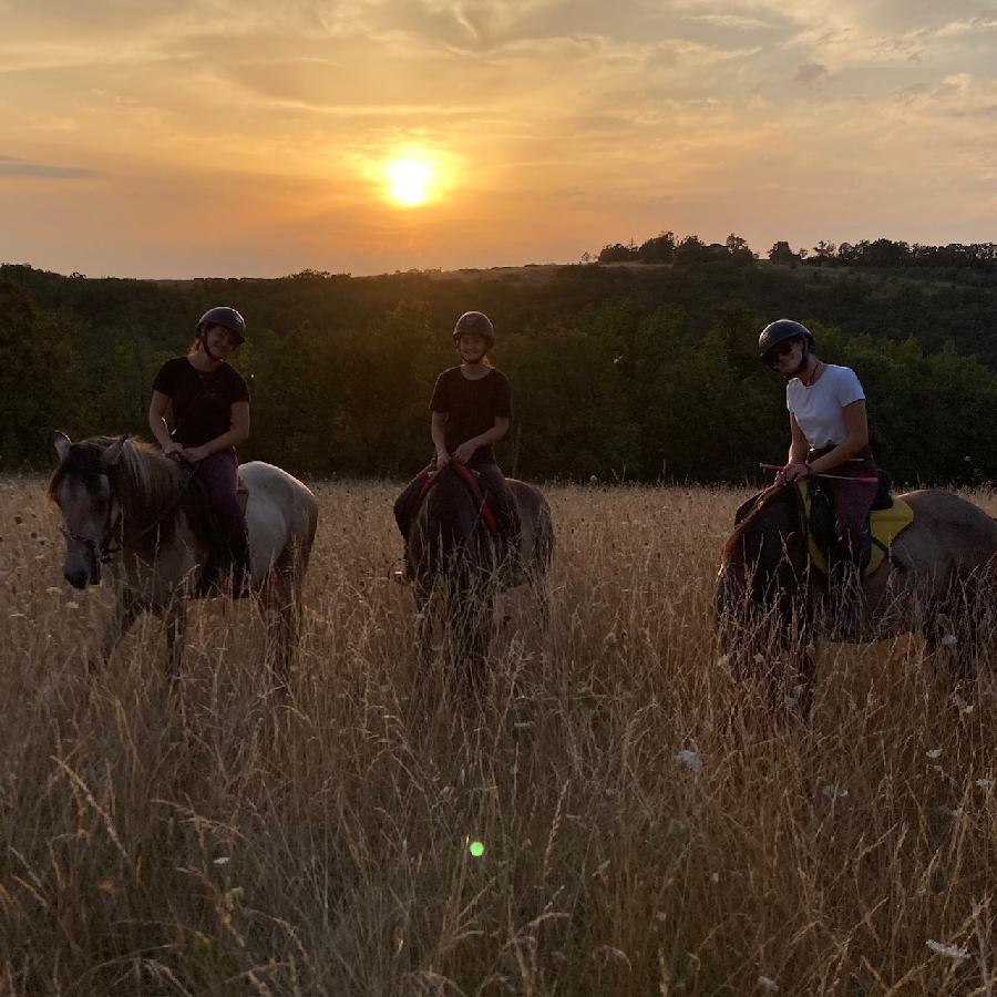 S�jour �questre   photo 4