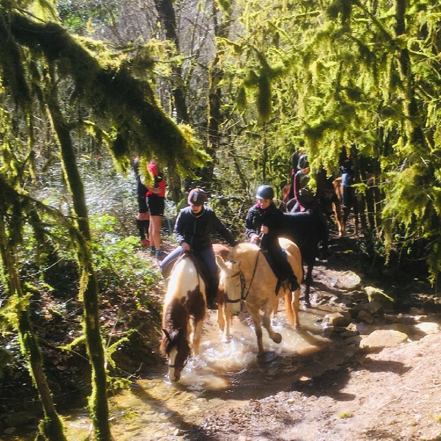 sejour Tarn-et-Garonne Quercy