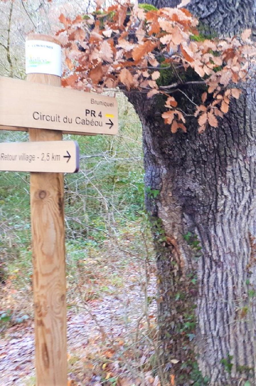 sejour Tarn-et-Garonne Quercy photo 5