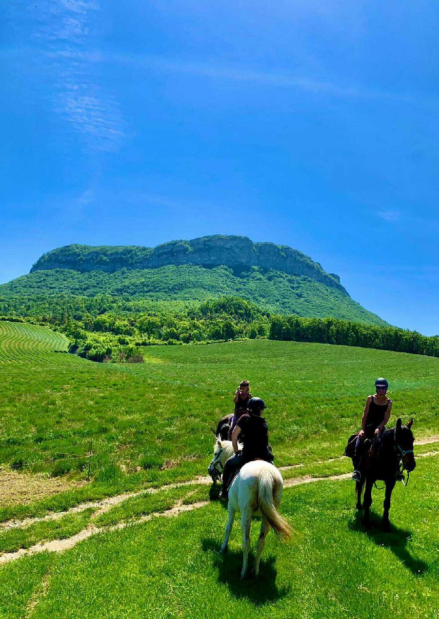 S�jour �questre   photo 2