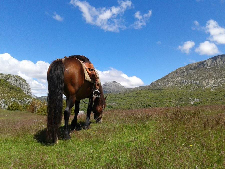 S�jour �questre   photo 5