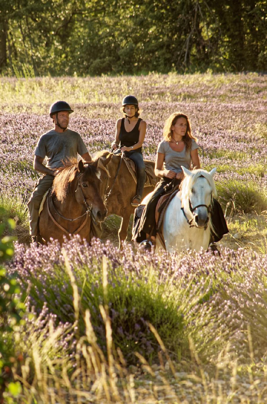 S�jour �questre   photo 6