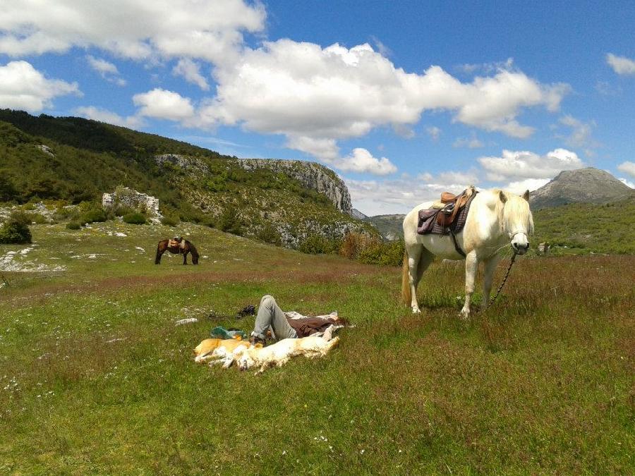 S�jour �questre   photo 4