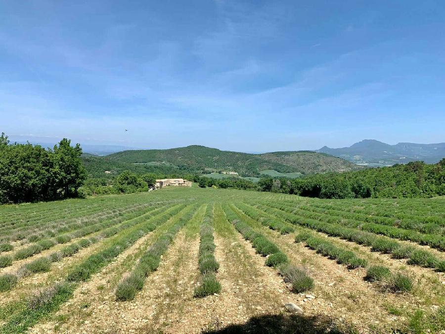 S�jour �questre   photo 5